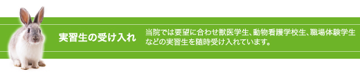 獣医学性、動物介護学校生、職場体験など実習生を受け入れています